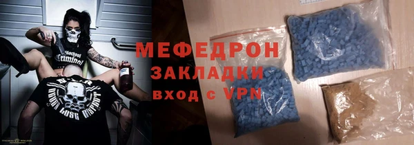 шишки Няндома