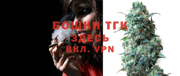 ГАЛЛЮЦИНОГЕННЫЕ ГРИБЫ Осташков
