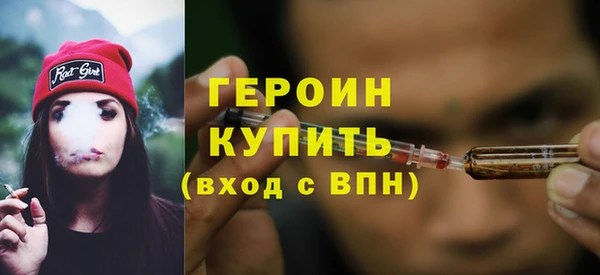 шишки Няндома