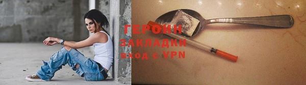 шишки Няндома