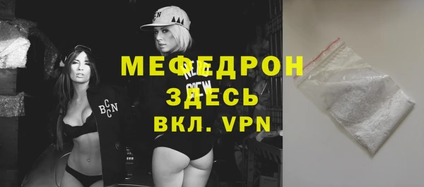 шишки Няндома
