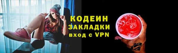 шишки Няндома