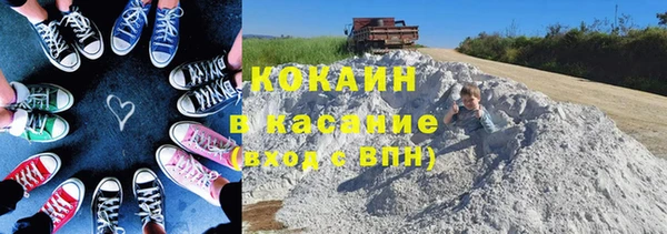 шишки Няндома