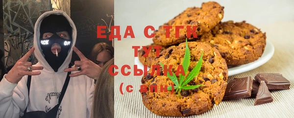 шишки Няндома