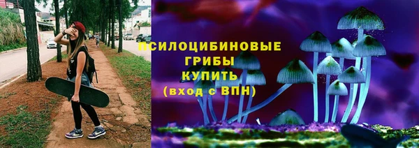 PSILOCYBIN Волоколамск