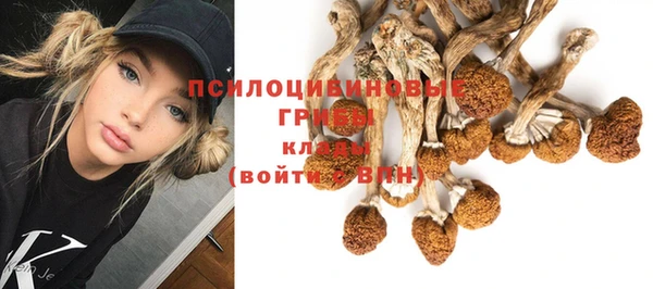 первитин Нягань