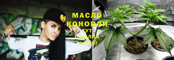 шишки Няндома