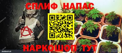 винт Кандалакша