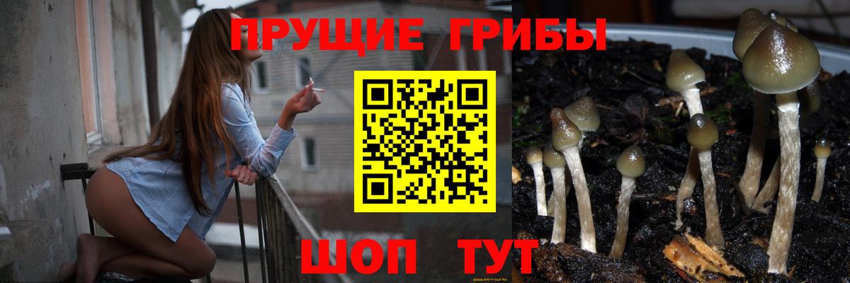 Галлюциногенные грибы Psilocybe Ревда