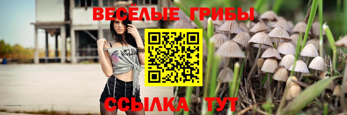 Ревда  Псилоцибиновые грибы Psilocybe  купить  цена  Вход с VPN 